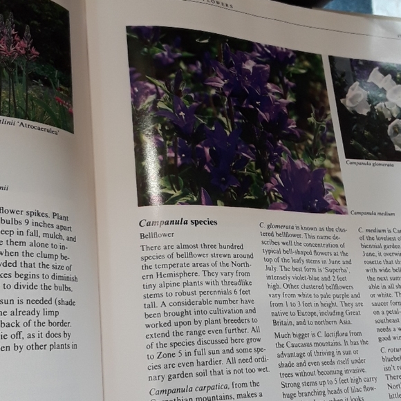 Successful flower gardening book - Picture 3 of 3